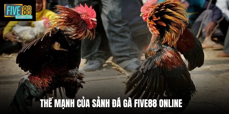 Thế mạnh của sảnh đá gà Five88 online